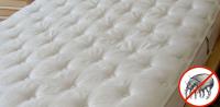 Mattress Cleaning Canberra image 1